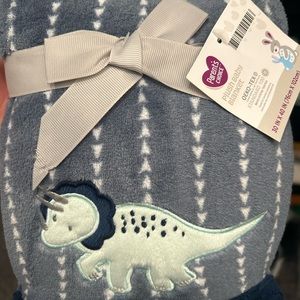 Baby dinosaur blanket